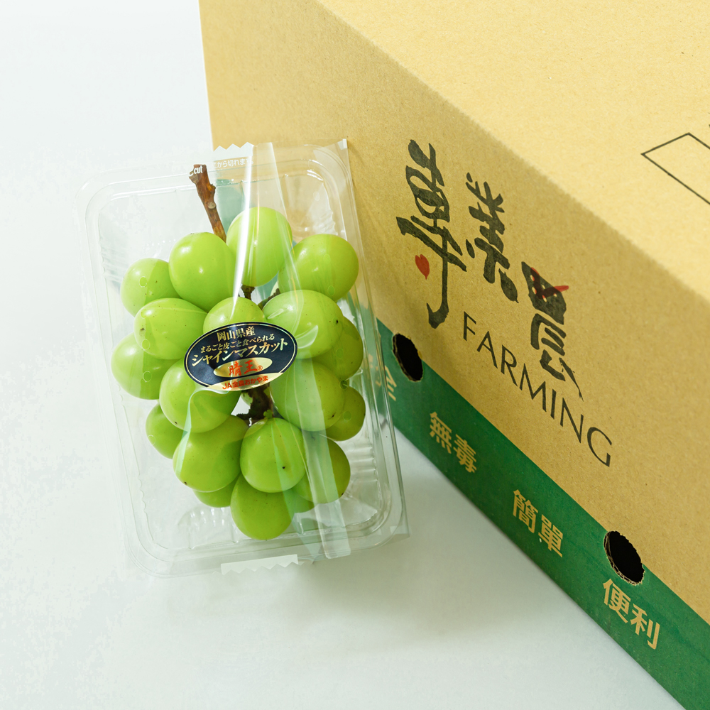 【團購首選】專業農日本頂級溫室麝香葡萄禮盒6入