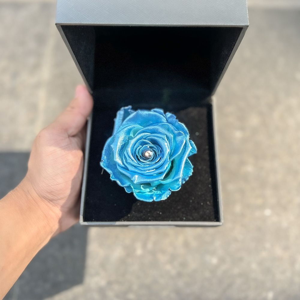 【Flower Plus】 Pisces 雙魚座 | 單層永生花星座禮盒
