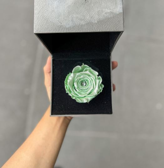 【Flower Plus】 Taurus 金牛座 | 單層永生花星座禮盒