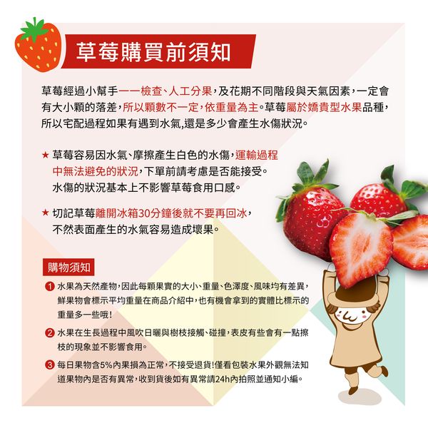 【專業農】台灣鮮紅草莓 (直播期間下單買一送一)