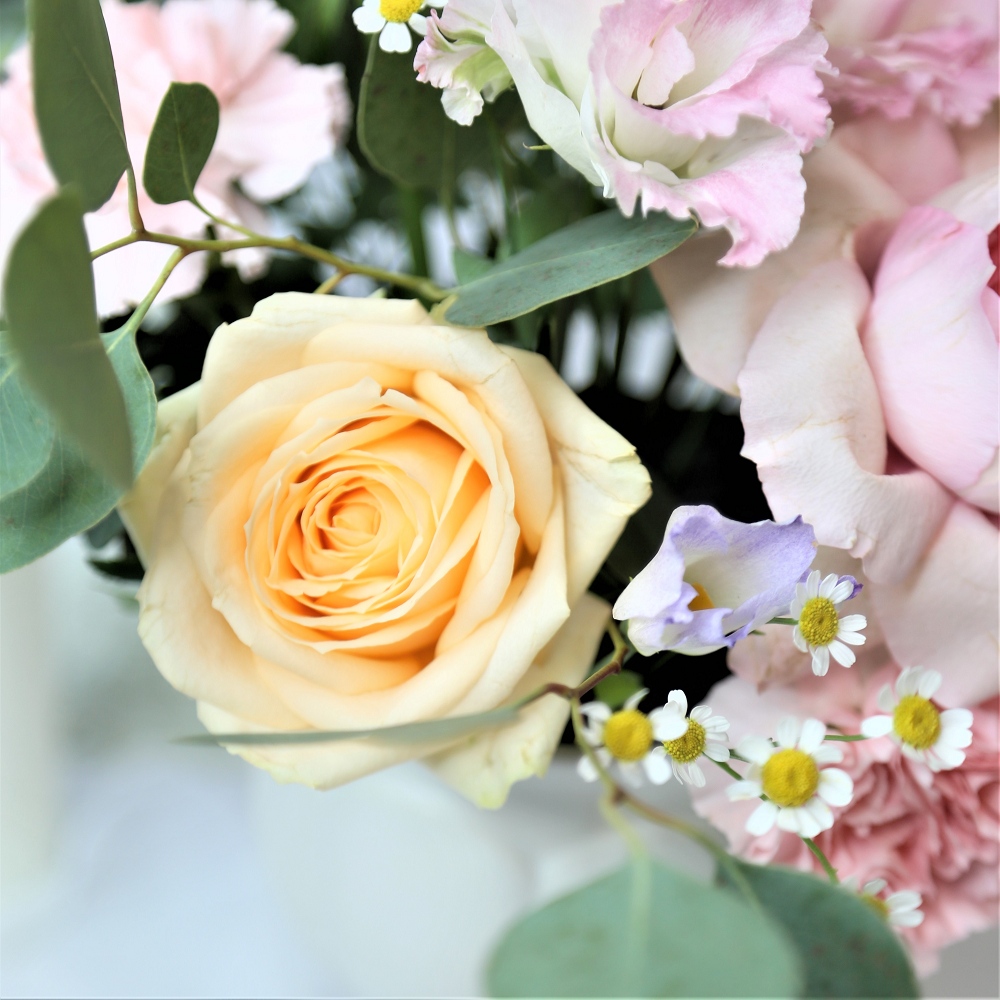 香檳粉金 | DIY材料包 鮮花宅配,202209021230,香檳粉金|DIY材料包鮮花宅配,農產百寶箱,202209021230