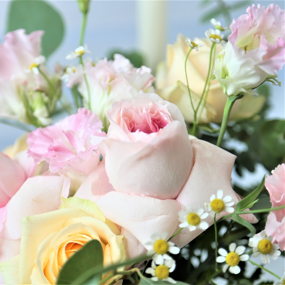 香檳粉金 | DIY材料包 鮮花宅配,202209021230,香檳粉金|DIY材料包鮮花宅配,農產百寶箱,202209021230