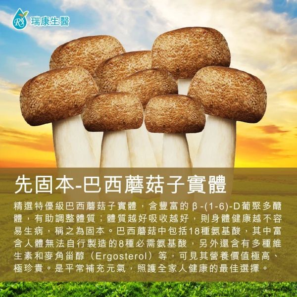 【瑞康生醫】巴西蘑菇(姬松茸)乾菇1包/每包/40g Dried Agaricus blazei