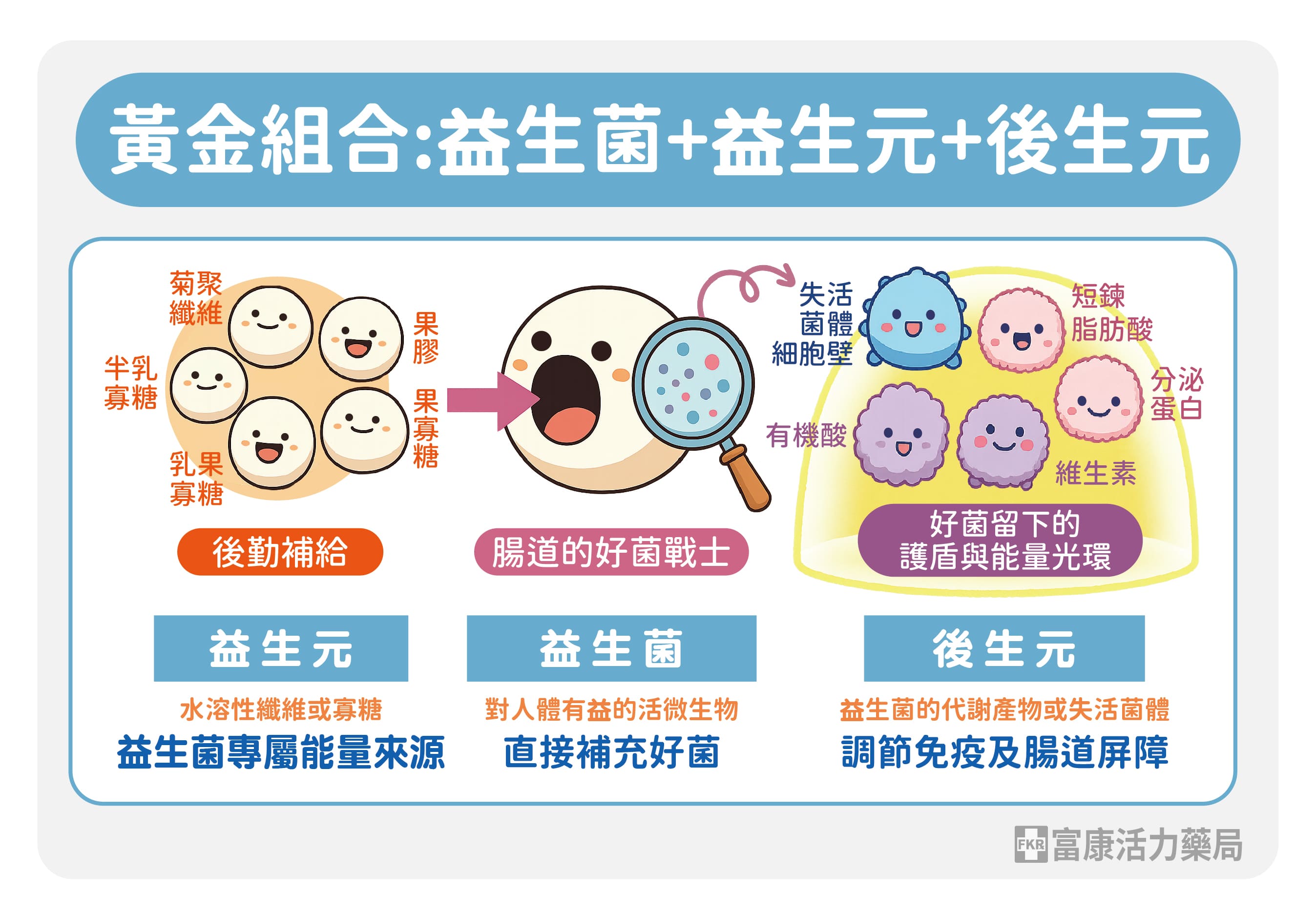 益生菌黃金組合,益生菌要搭配甚麼,益生菌+益生元+後生元,益生菌鐵三角,只吃益生菌就好嗎,益生菌怎麼吃