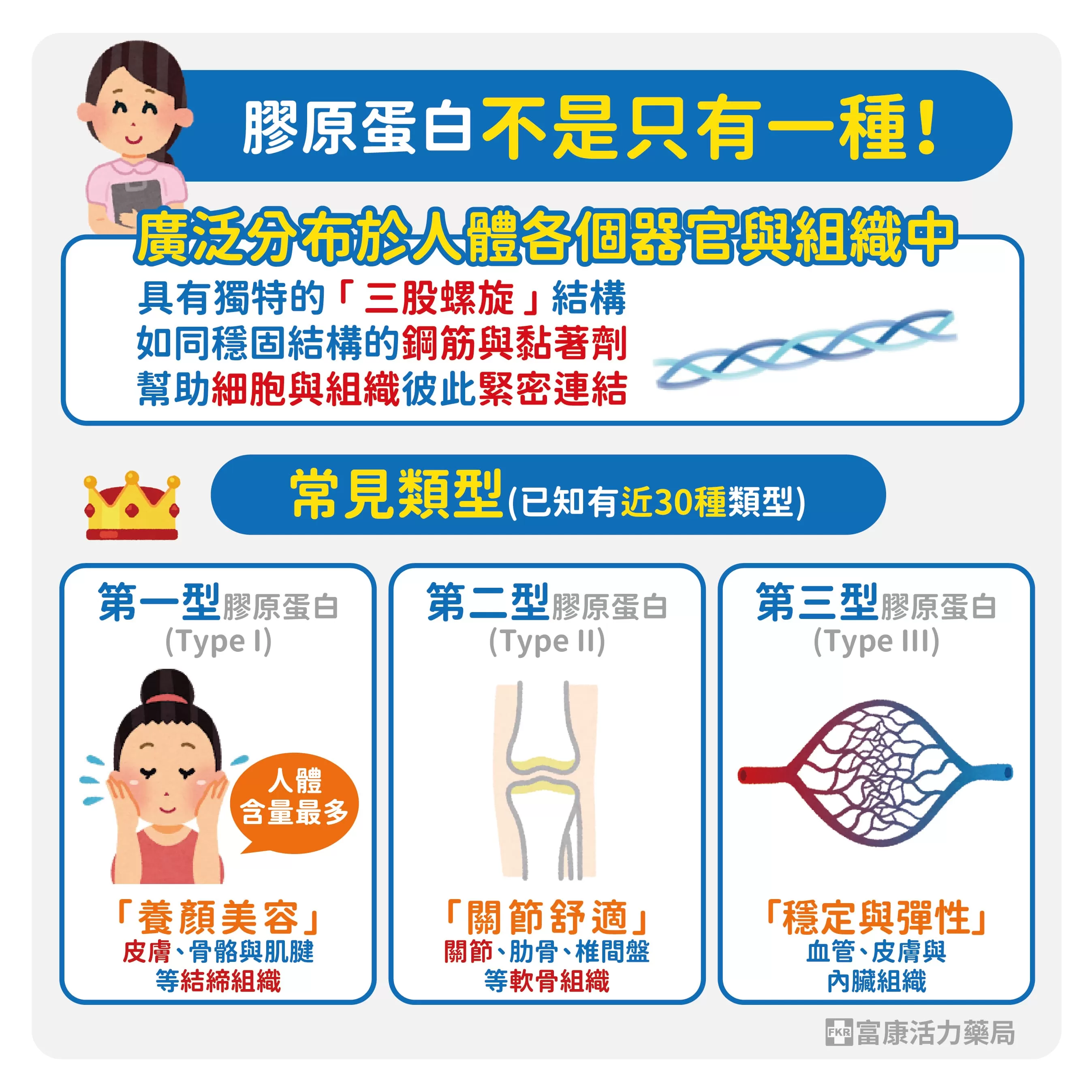 膠原蛋白類型,膠原蛋白只有一種嗎,膠原蛋白種類,第一型膠原蛋白,非變性膠原蛋白