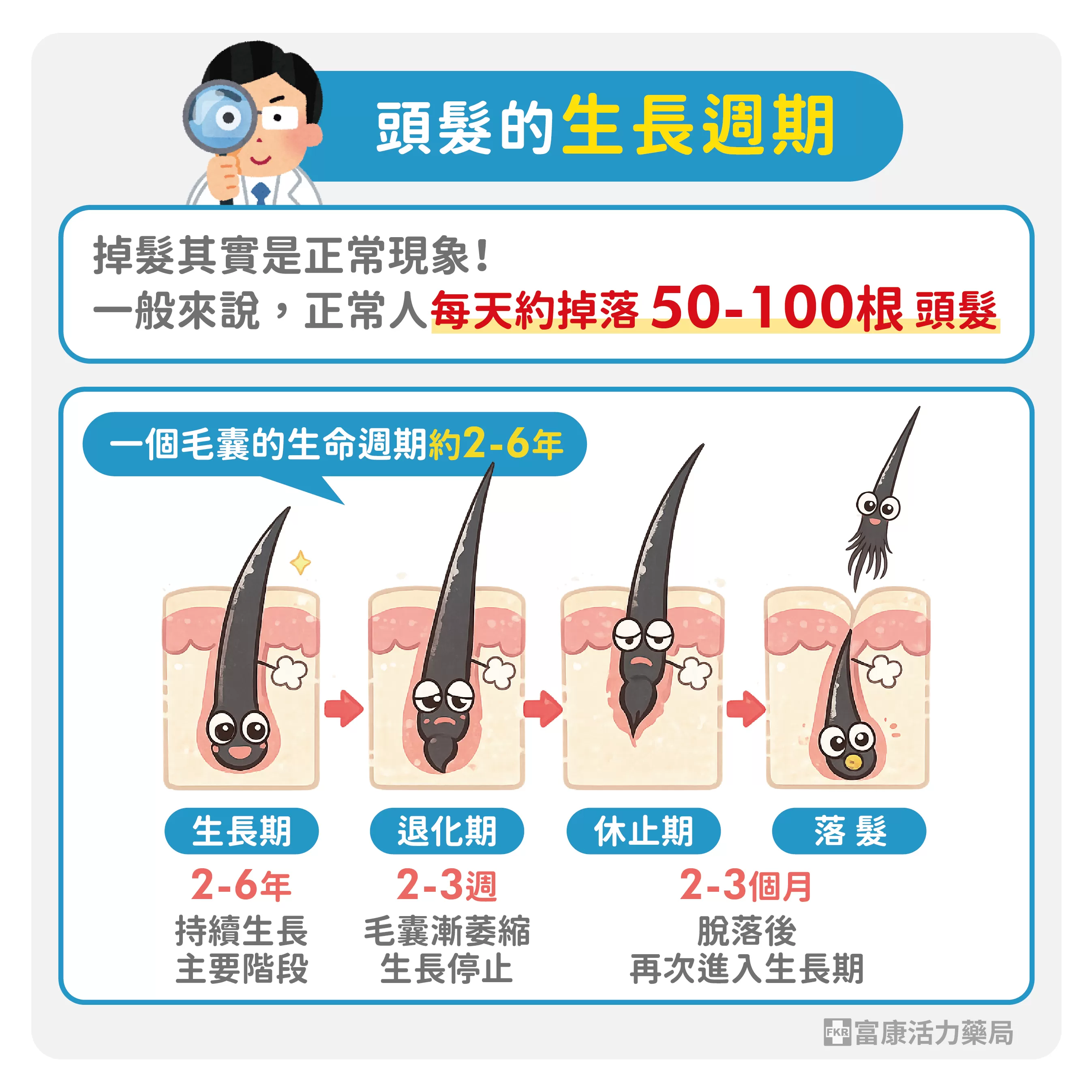 頭髮生長週期,毛囊週期,一天掉多少頭髮正常,正常落髮,毛髮週期,頭髮長長