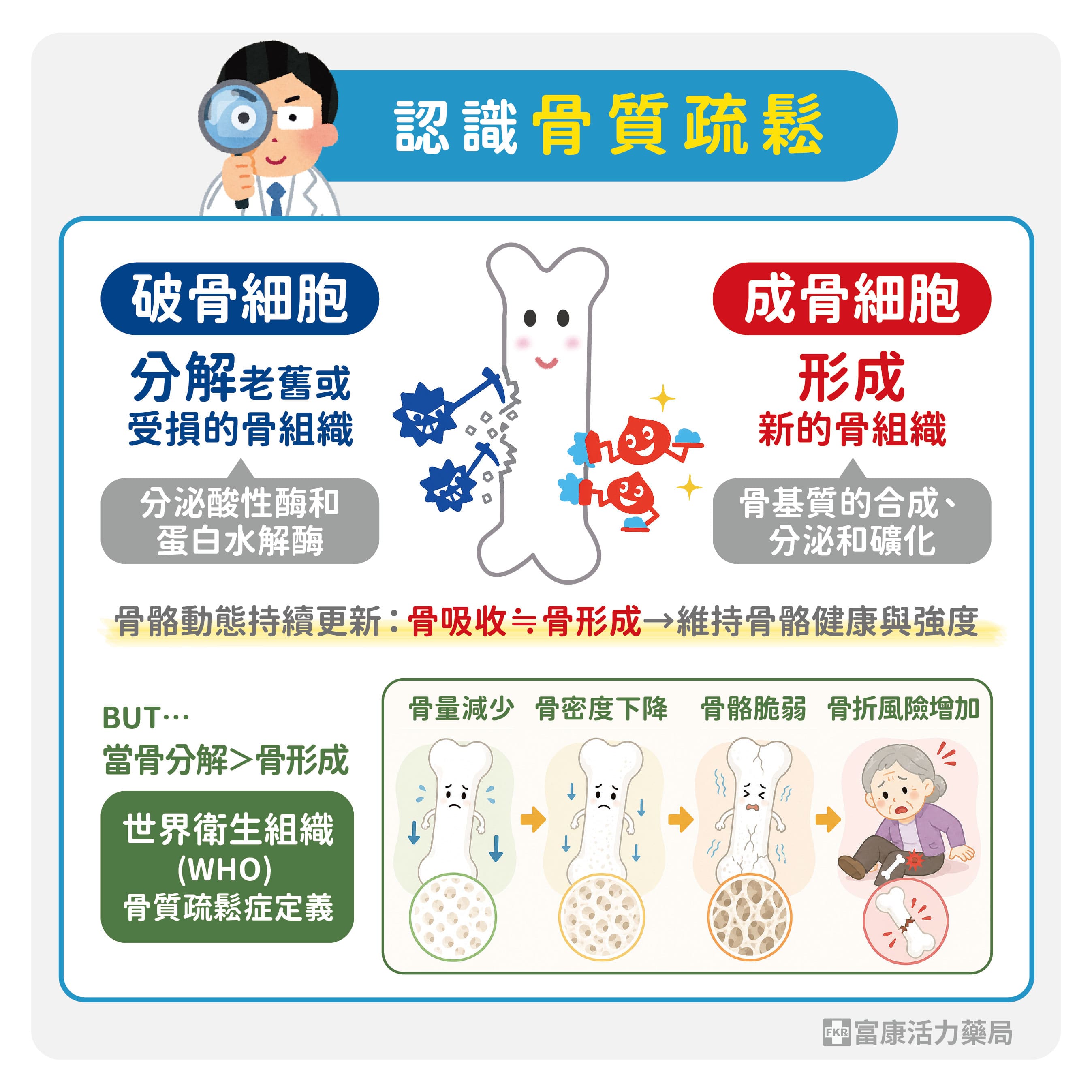 骨質疏鬆,骨質流失,成骨細胞,破骨細胞,骨質疏鬆是甚麼,骨鬆定義