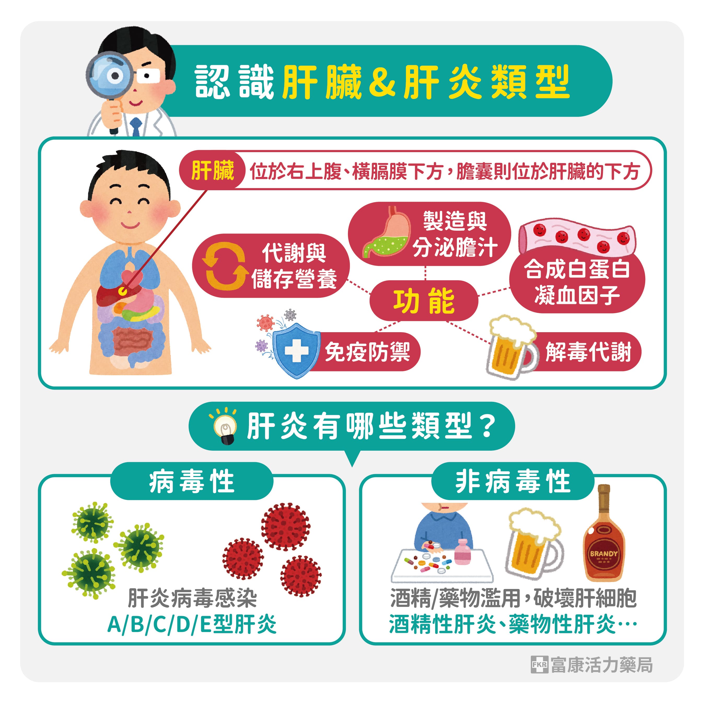 肝臟功能,肝功能,肝炎類型,病毒性肝炎,肝炎會傳染嗎