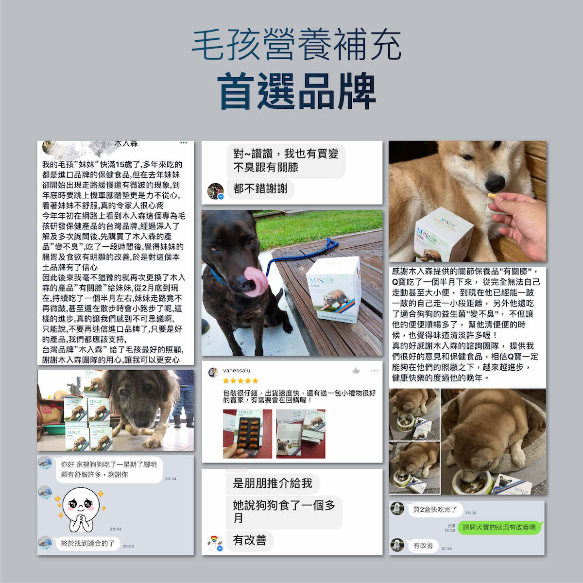 【限時優惠!再贈試用包】木入森 犬寶有關膝 30顆