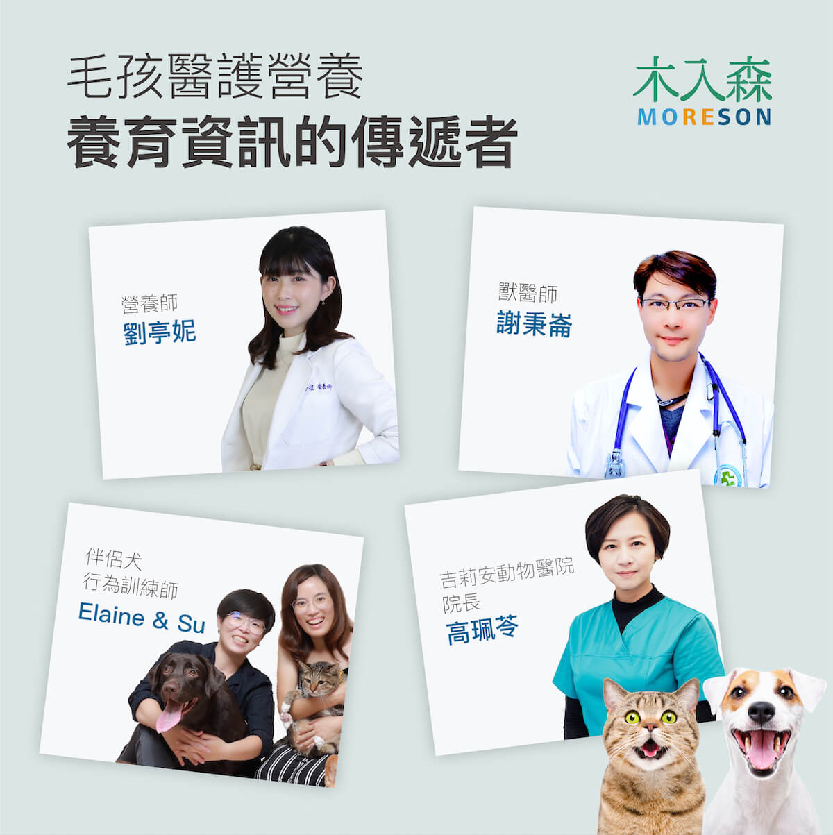 【限時優惠!再贈試用包】木入森 犬寶D藻鈣 30包