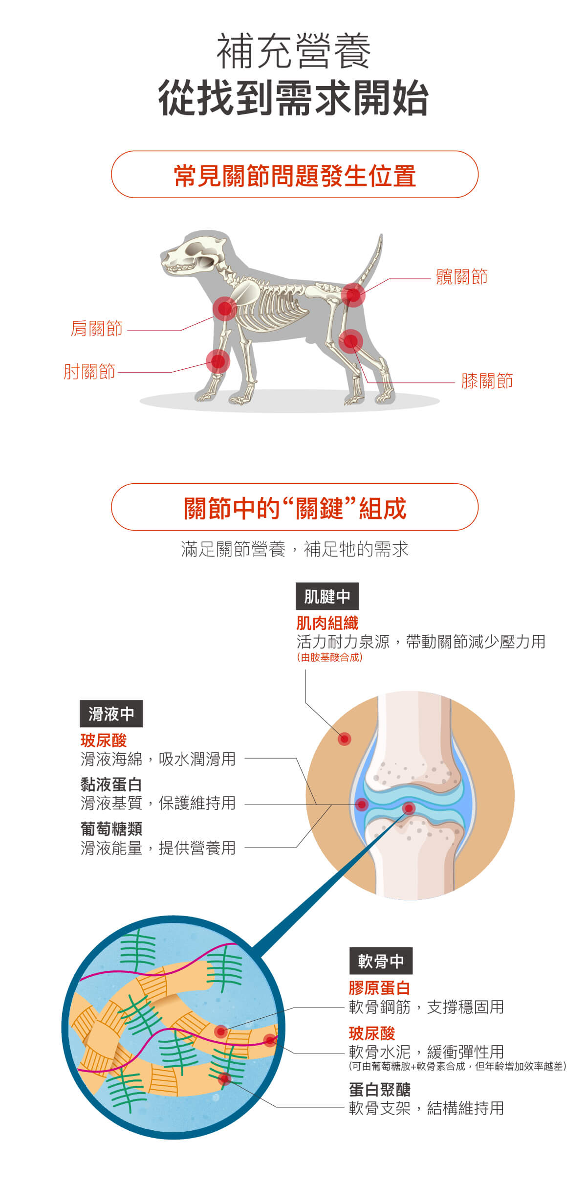 【限時優惠!再贈試用包】木入森 犬寶有關膝 30顆