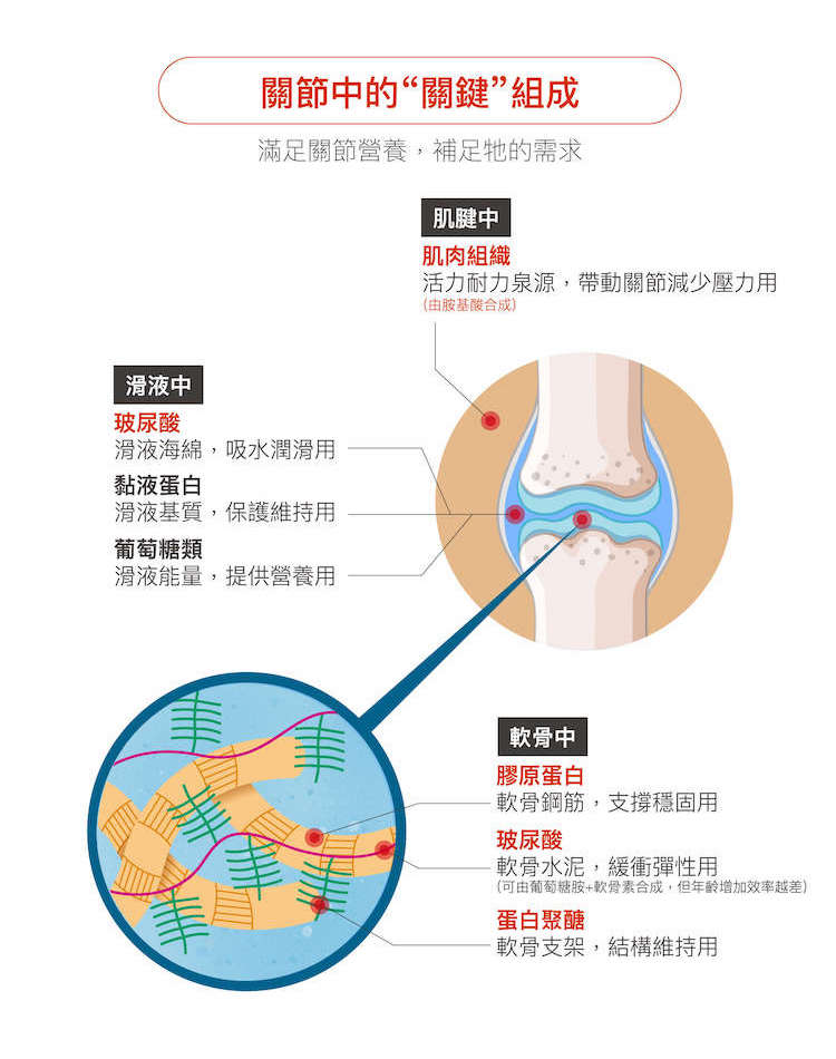 【限時優惠!再贈試用包】木入森 貓咪有關膝 60顆