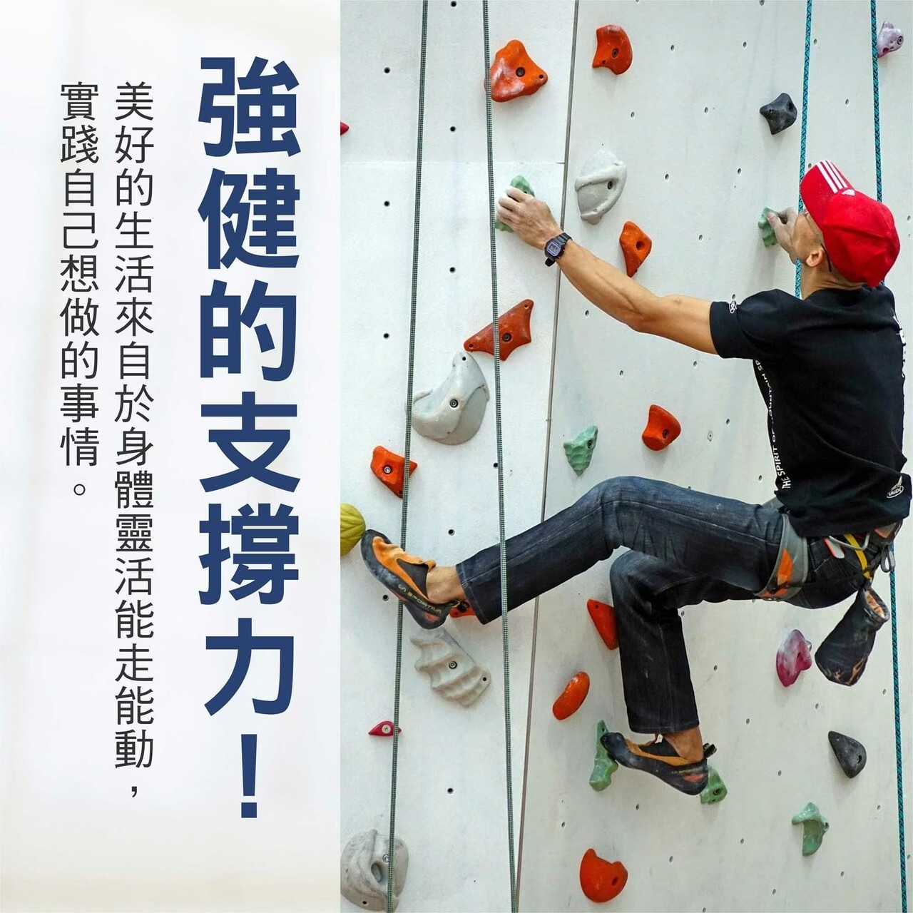 力強 健固素 800g