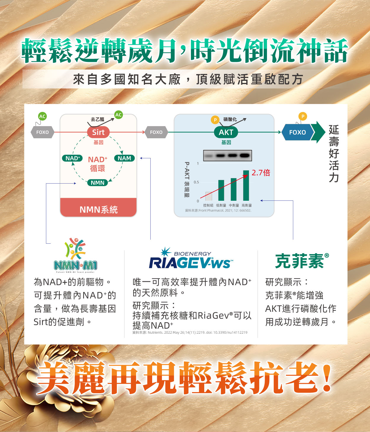 【多件優惠】《自然悅活》次世代NMN煥活膠囊 30粒/盒
