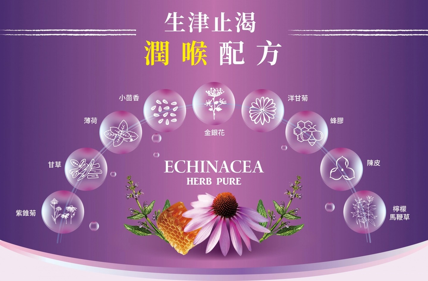 金喉舒 紫錐菊濃醇喉錠 30粒/盒