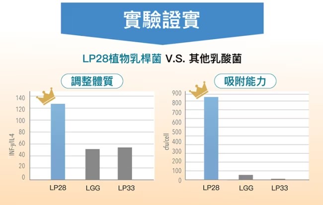 YOHO悠活原力 敏立清乳鐵蛋白益生菌 30條(盒)