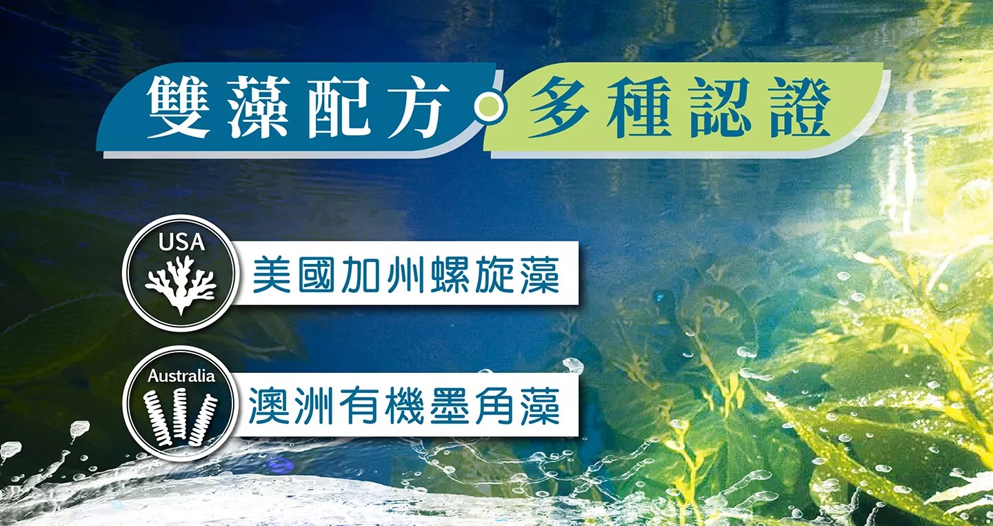橙心 頂級黑褐藻 1000錠