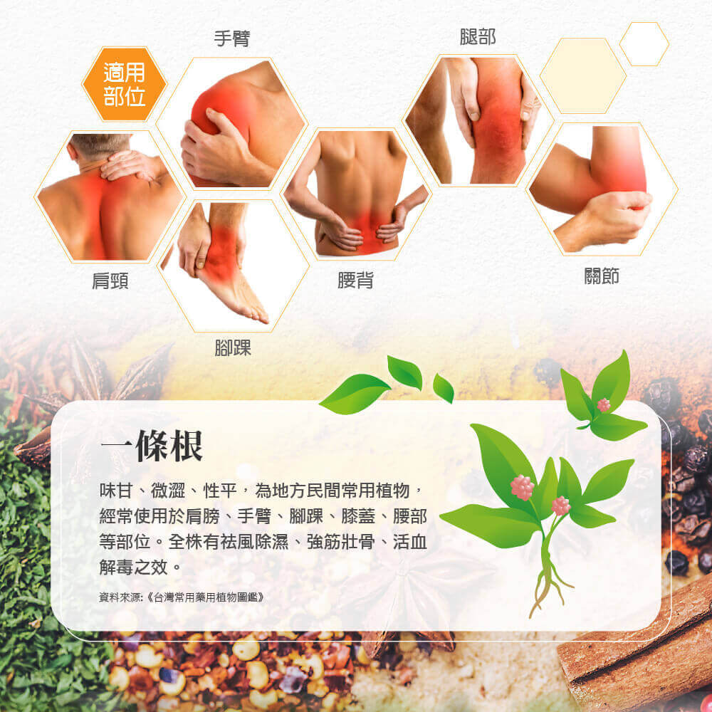 正光 一條根萬筋拔貼布(7x10cm) 5片入