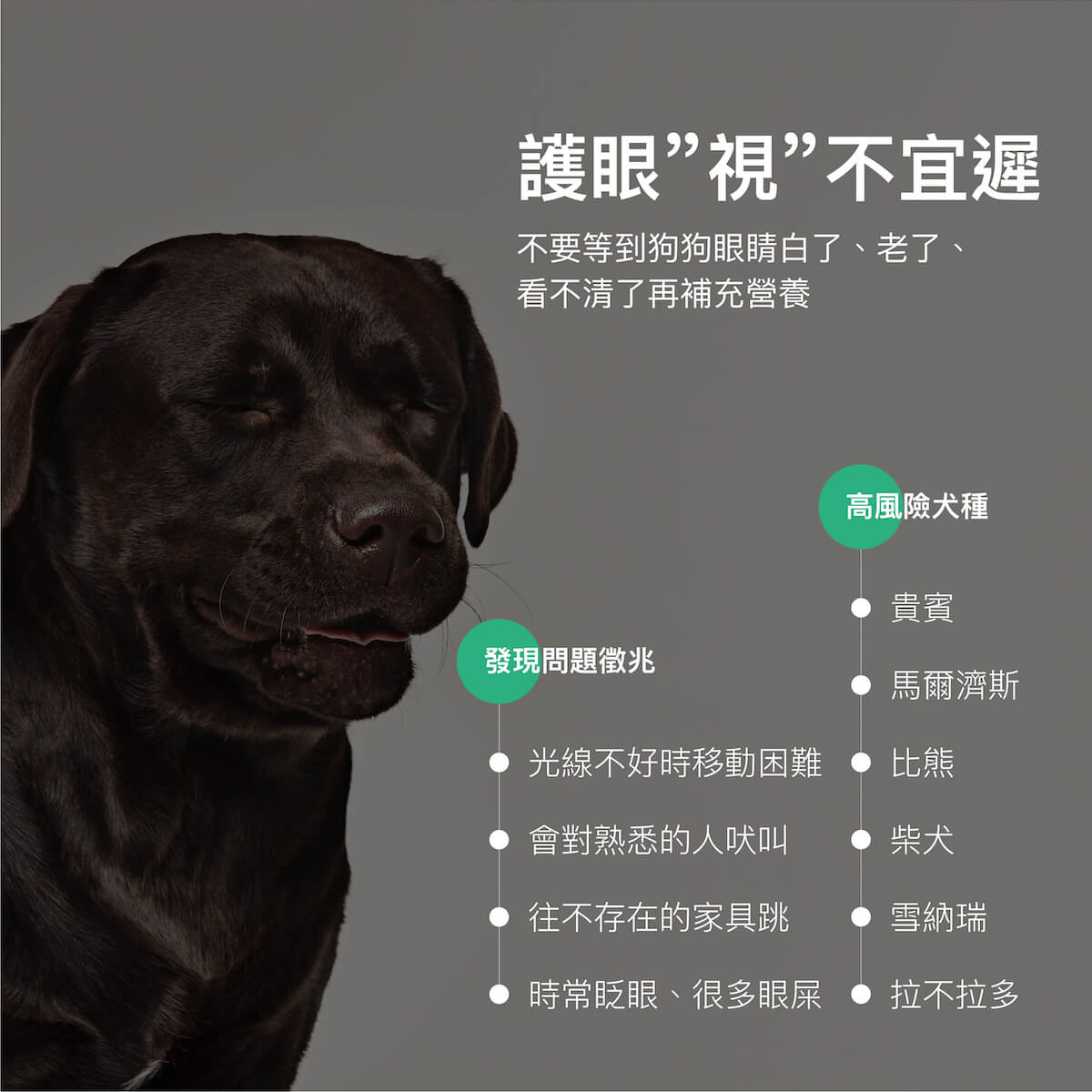 【限時優惠!再贈試用包】木入森 犬寶好眼力 30顆/60顆