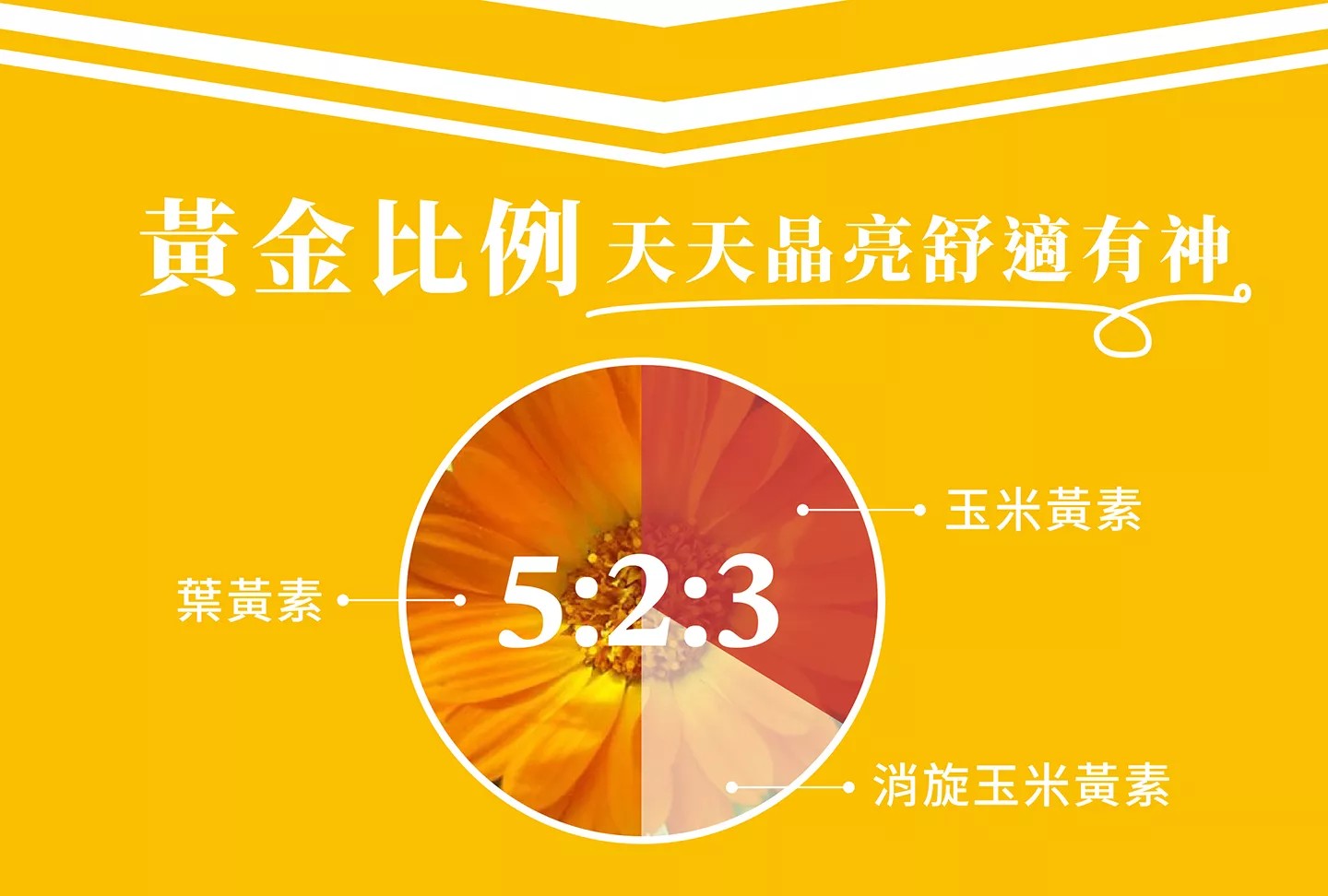 橙心 葉黃素軟膠囊 30錠/盒
