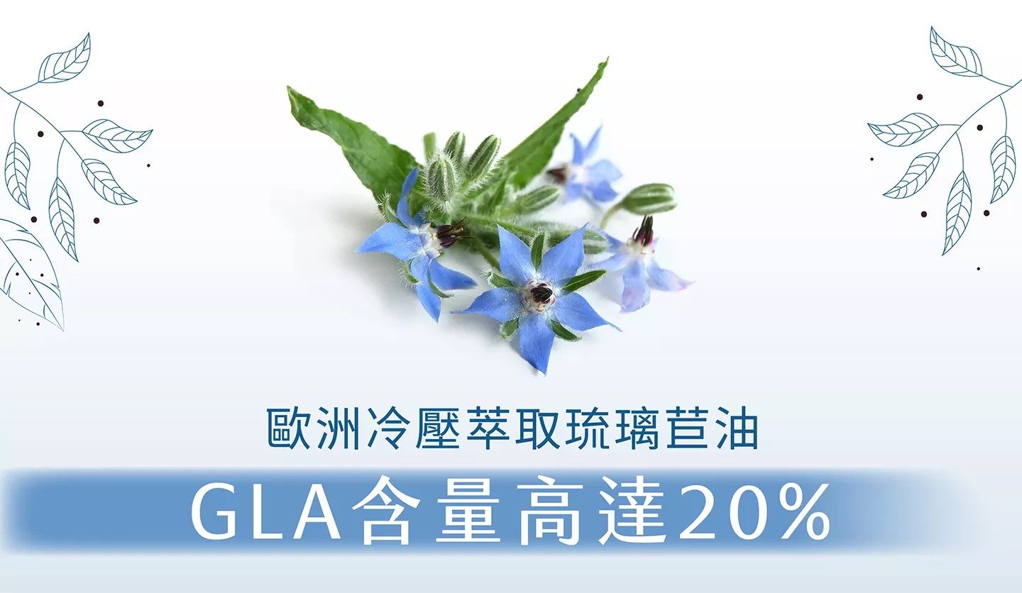 橙心 新活力琉璃苣籽油 草本精華膠囊 30粒