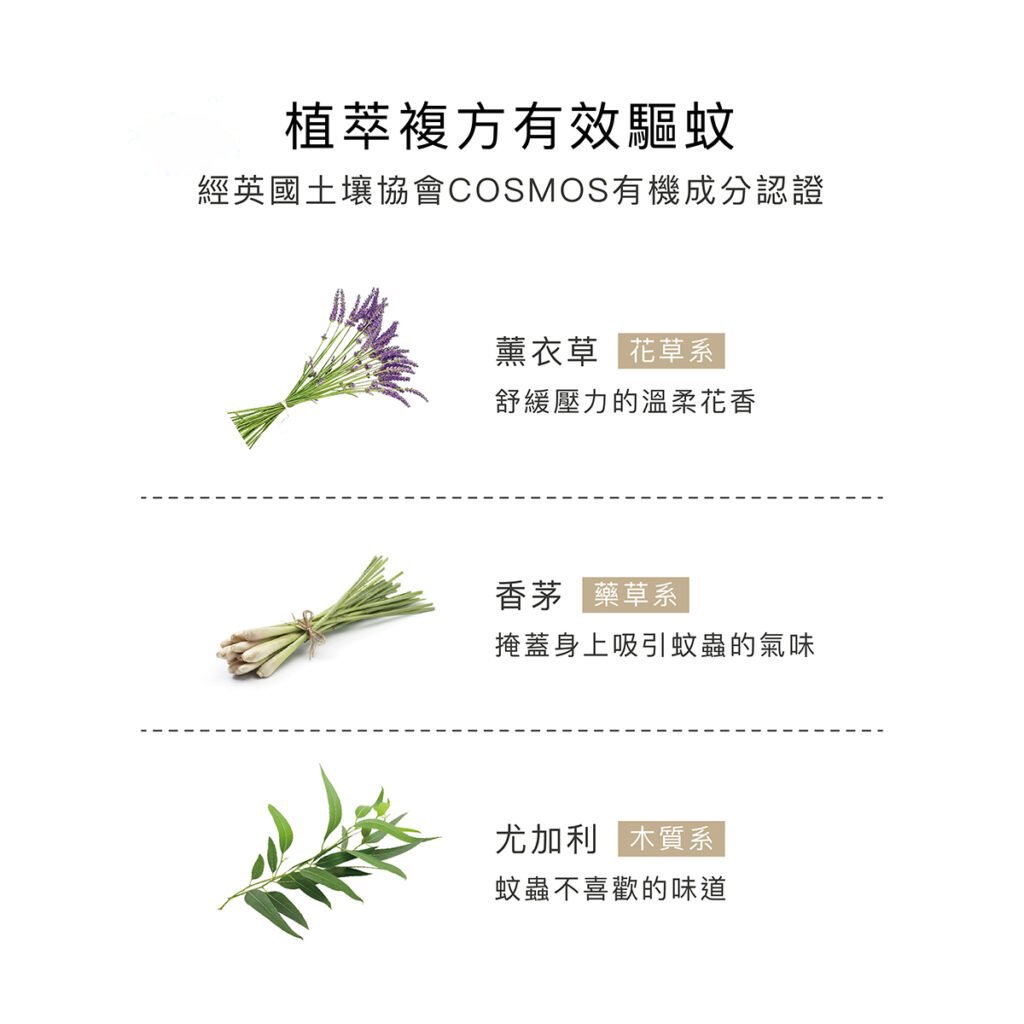 小獅王辛巴 長效薰衣草精油防蚊貼 恐龍圖鑑 16/32枚,小獅王辛巴,嬰幼兒,趨蚊,防蚊貼,▲成人、小孩適用▲