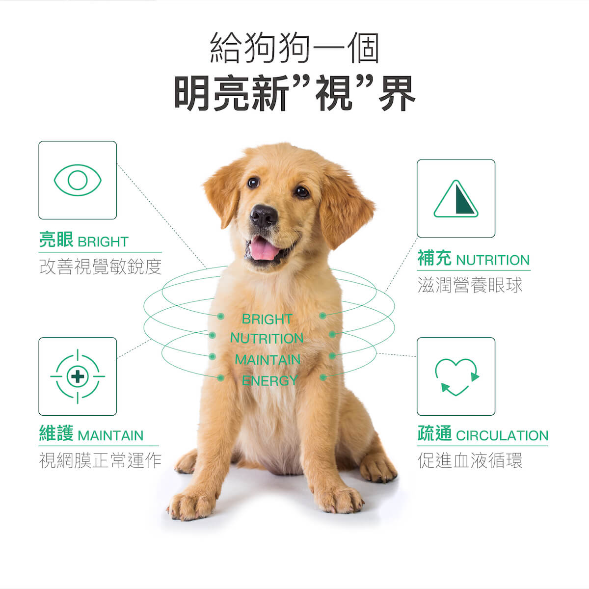 【限時優惠!再贈試用包】木入森 犬寶好眼力 30顆/60顆