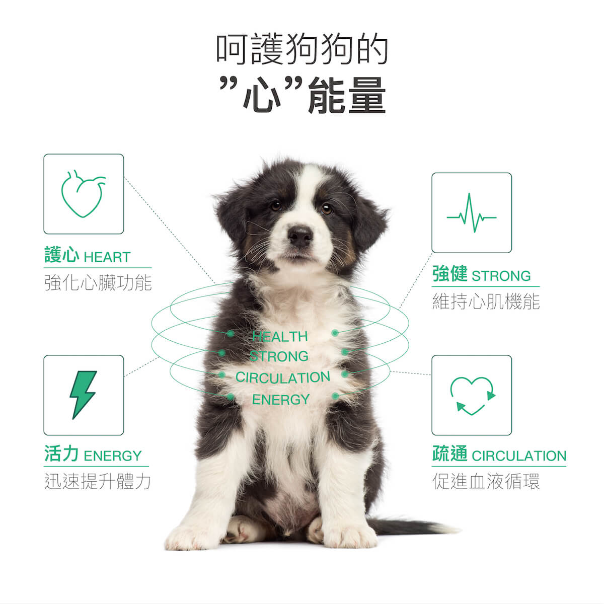 【限時優惠!再贈試用包】木入森 犬寶珍心動 30顆