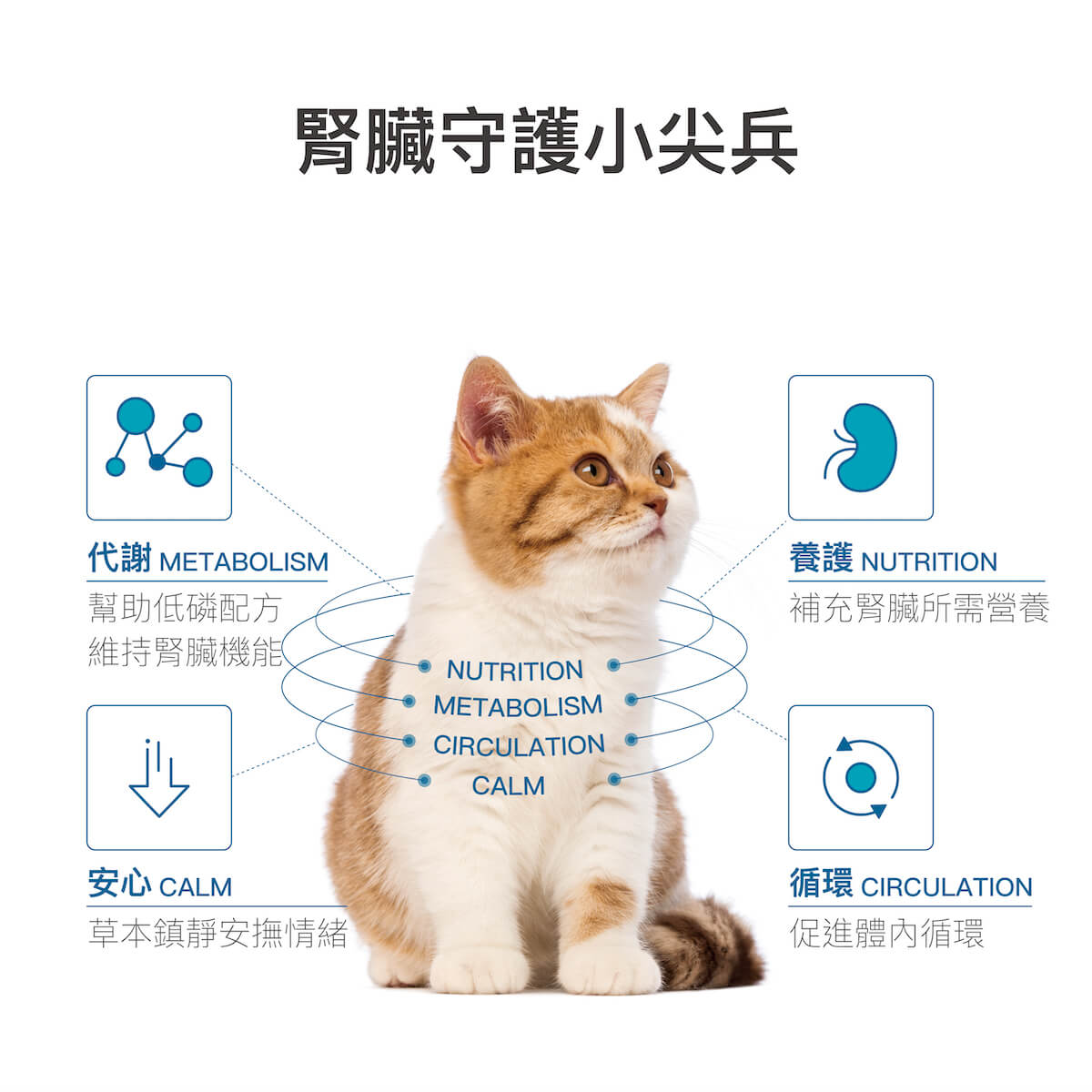 【限時優惠!再贈試用包】木入森 貓咪保腎利 30顆