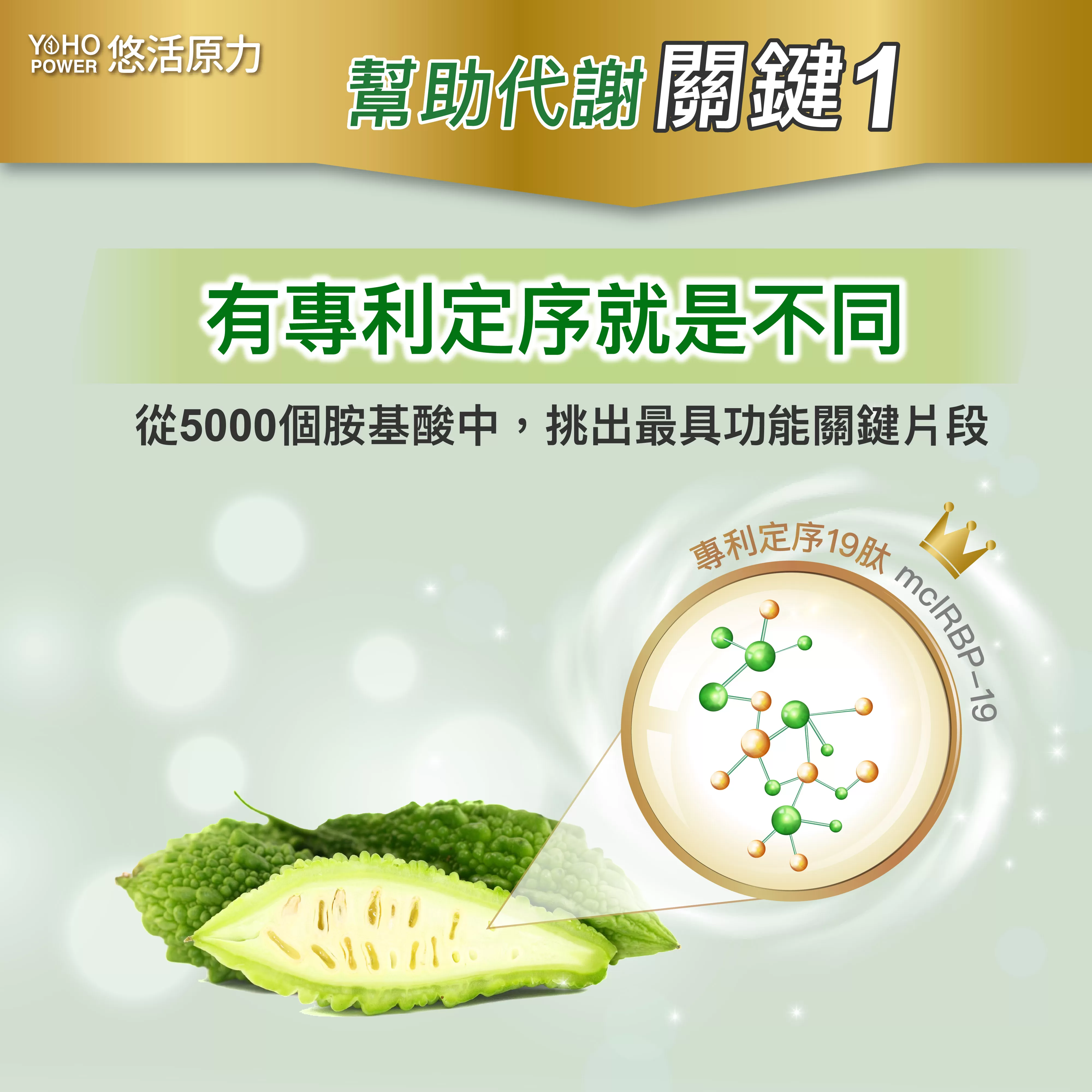 YOHO悠活原力 悠活好代謝(苦瓜胜肽+牛樟芝)膠囊 60顆