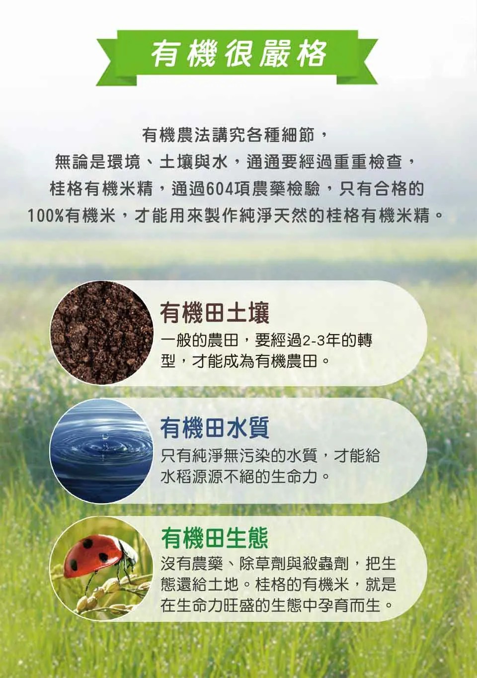 桂格 有機米精 500g/罐,6個月,4個月,寶寶食物,十倍粥,厭奶