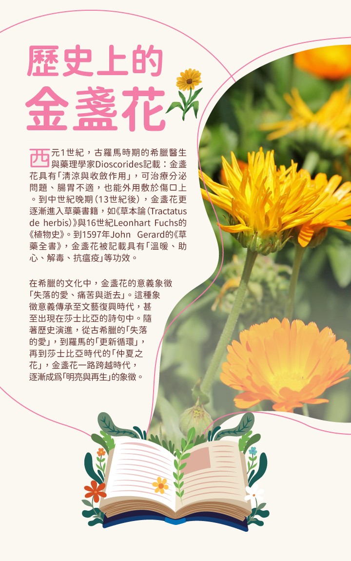 卡維亞 金盞花私密嬌弱潔淨露(粉) 250ml,私密清潔,金盞花,私密用品,私密沐浴,私密保養