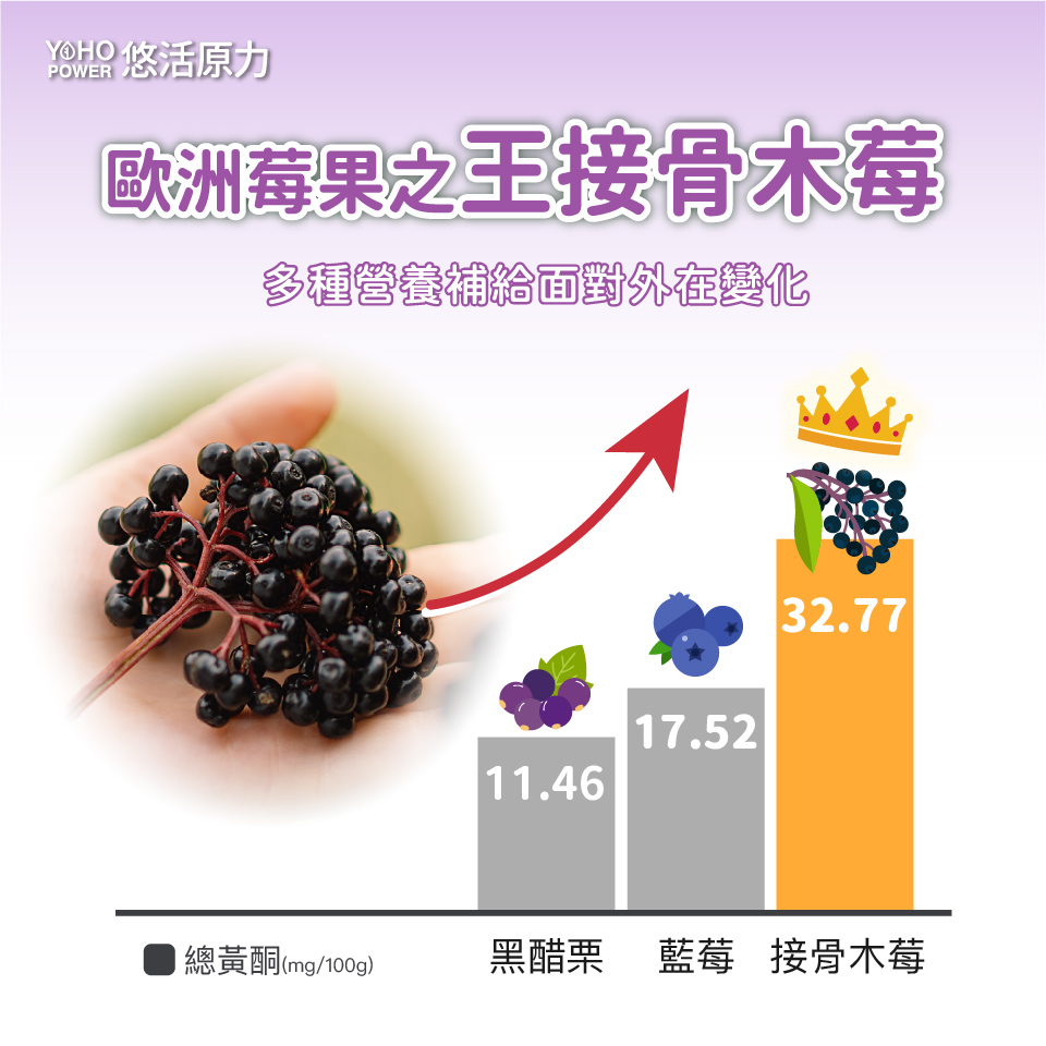 YOHO悠活原力 小悠活兒童多醣體咀嚼錠 30錠