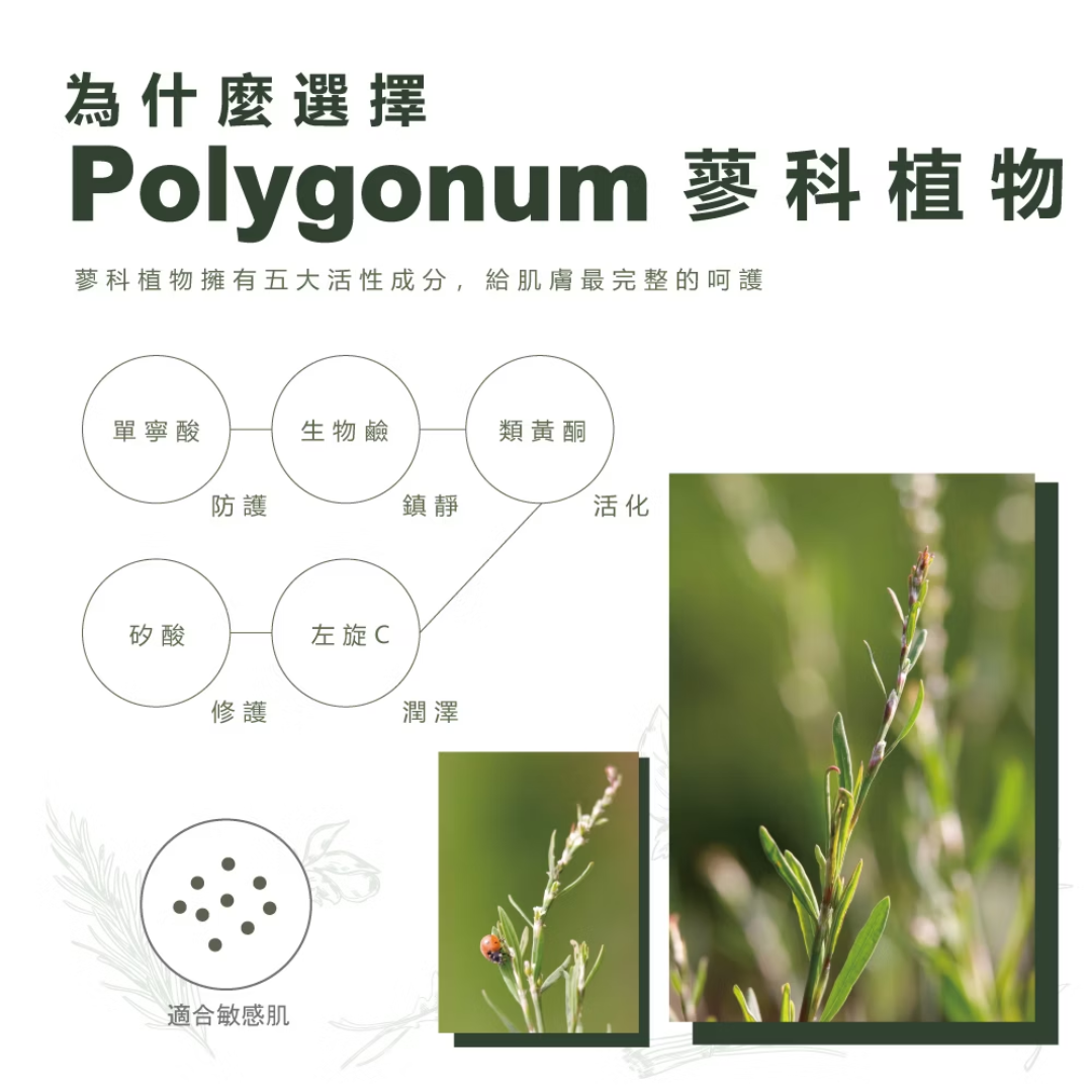 Moraz茉娜姿 修護唇膏(經典版) 10ml,U60260004,Moraz茉娜姿修護唇膏(經典版)10ml,有效期限2026.09.30,肌膚相關,唇部保養