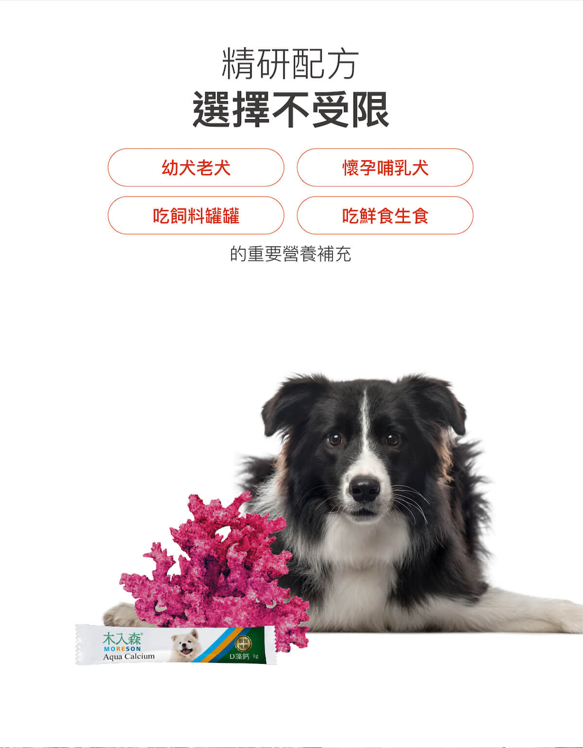 【限時優惠!再贈試用包】木入森 犬寶D藻鈣 30包