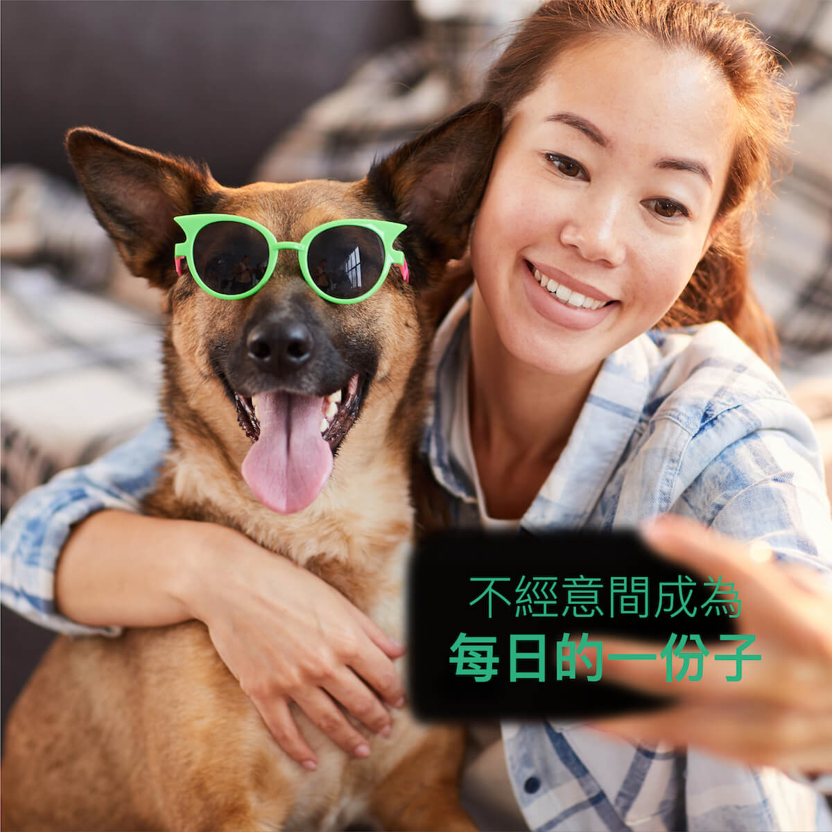 【限時優惠!再贈試用包】木入森 犬寶好眼力 30顆/60顆