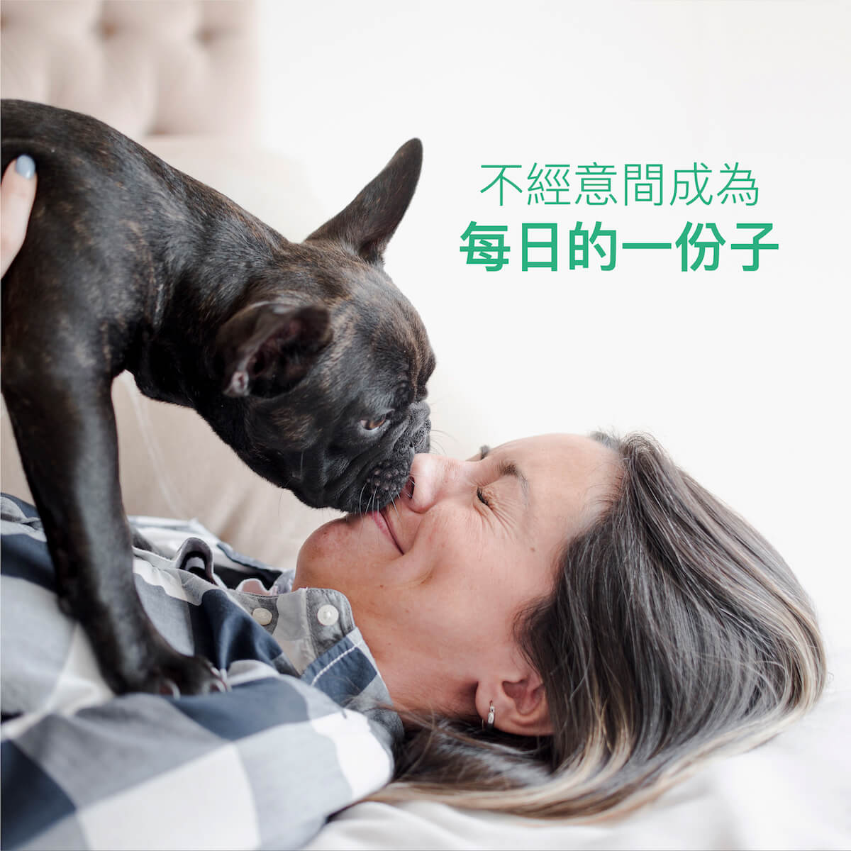 【限時優惠!再贈試用包】木入森 犬寶珍心動 30顆