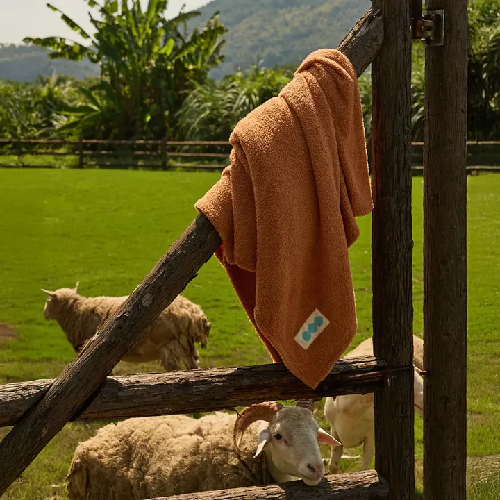 青鳥家居 石墨烯奶蓋生乳絨絨毯 兩入組,U60150008,青鳥家居石墨烯奶蓋生乳絨絨毯兩入組,所有商品,生活雜貨,U6015000801