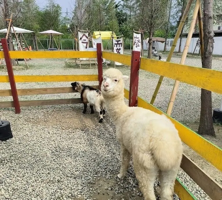 嘉義樂億皇家 4人房,U53340001,嘉義樂億皇家4人房,含早餐,寒暑假平日不加價,免費停車