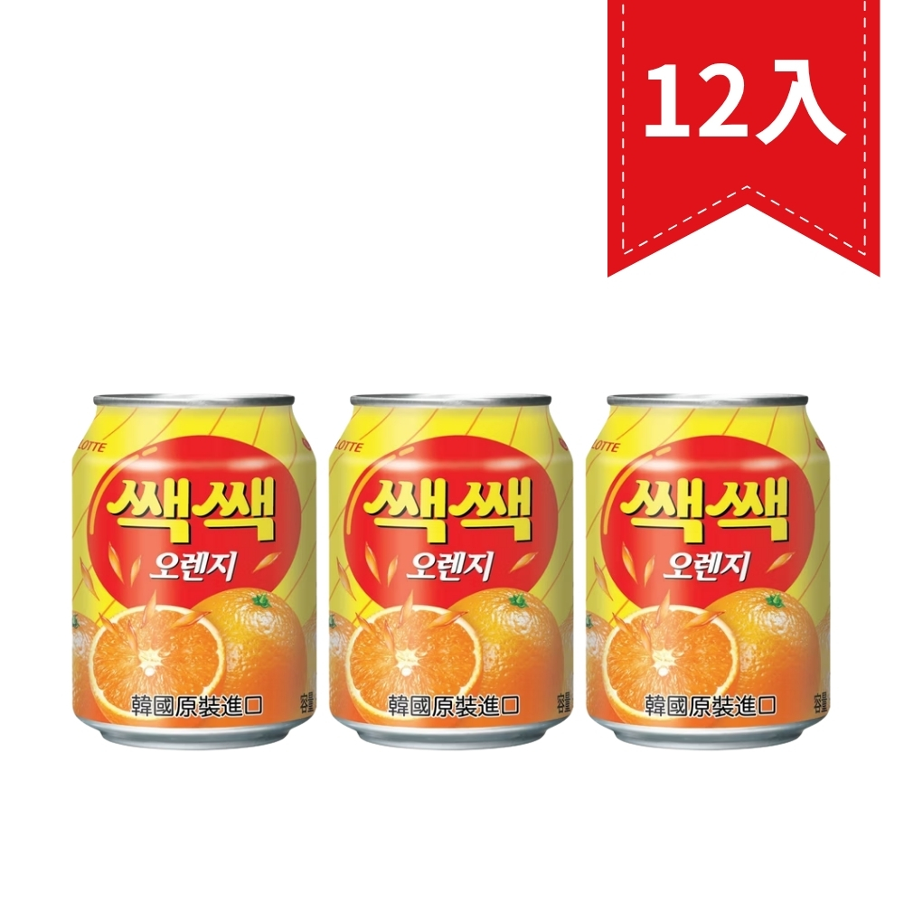 Lotte樂天-粒粒柳橙汁（238ml*12入）