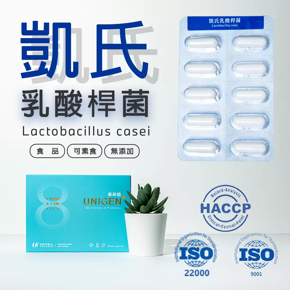 凱氏乳酸桿菌Lactobacillus casei