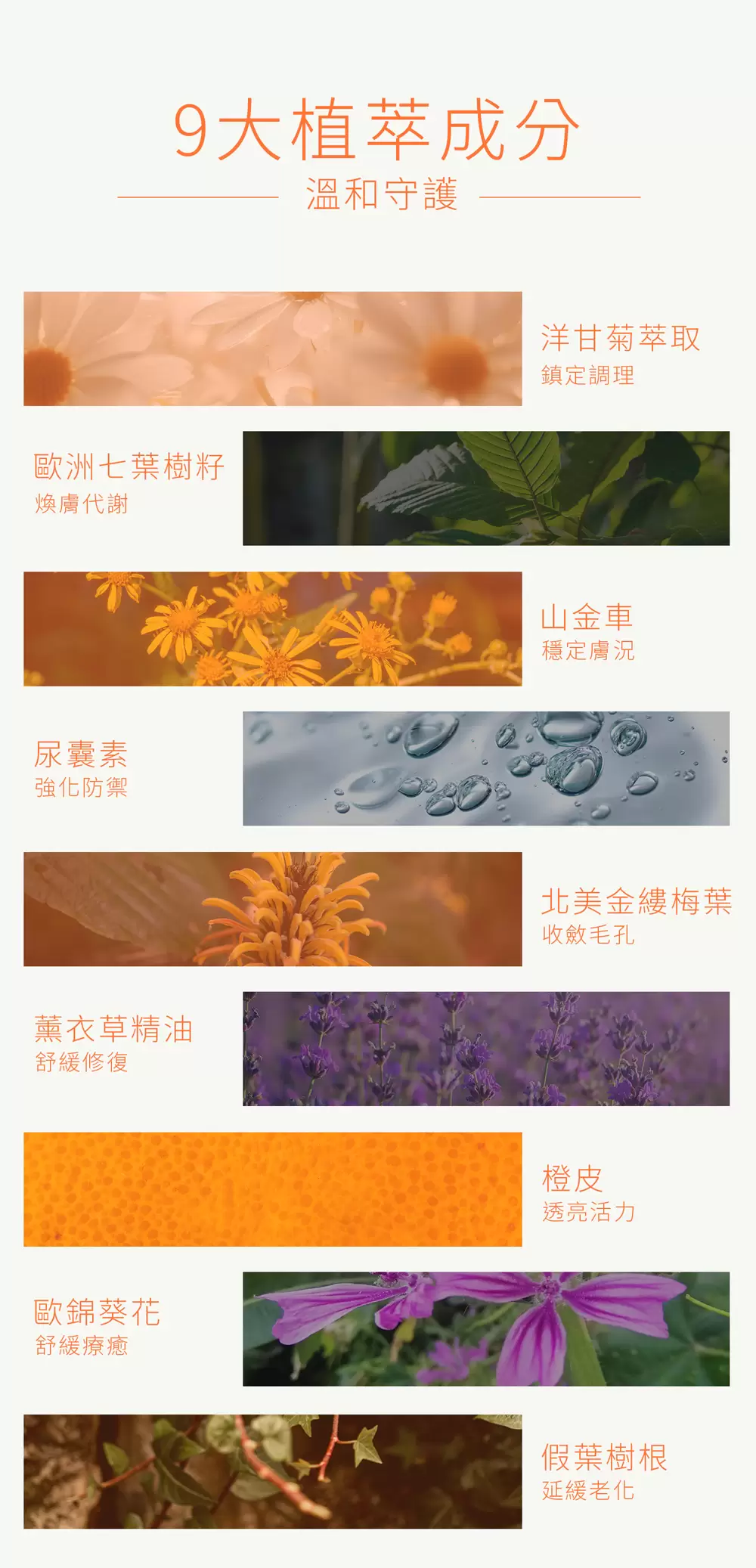 【KOOII】橙蜜保濕面膜5片入一盒