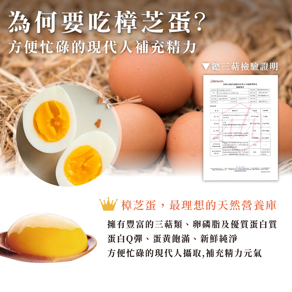【金錦町x青泉谷】金樟芝放牧機能雞蛋