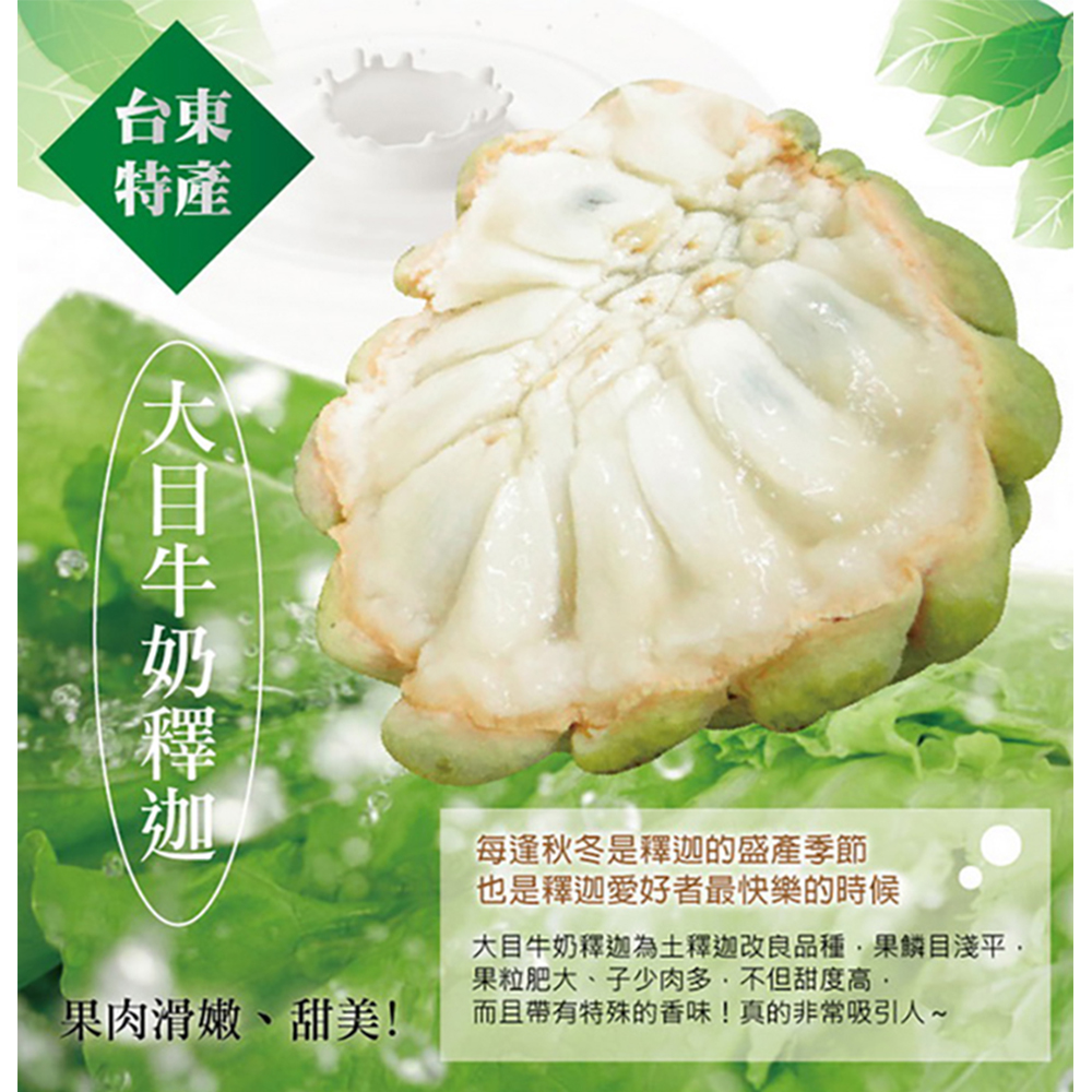 【家購網嚴選】產地直送 出口等級 大目牛奶釋迦 5斤裝