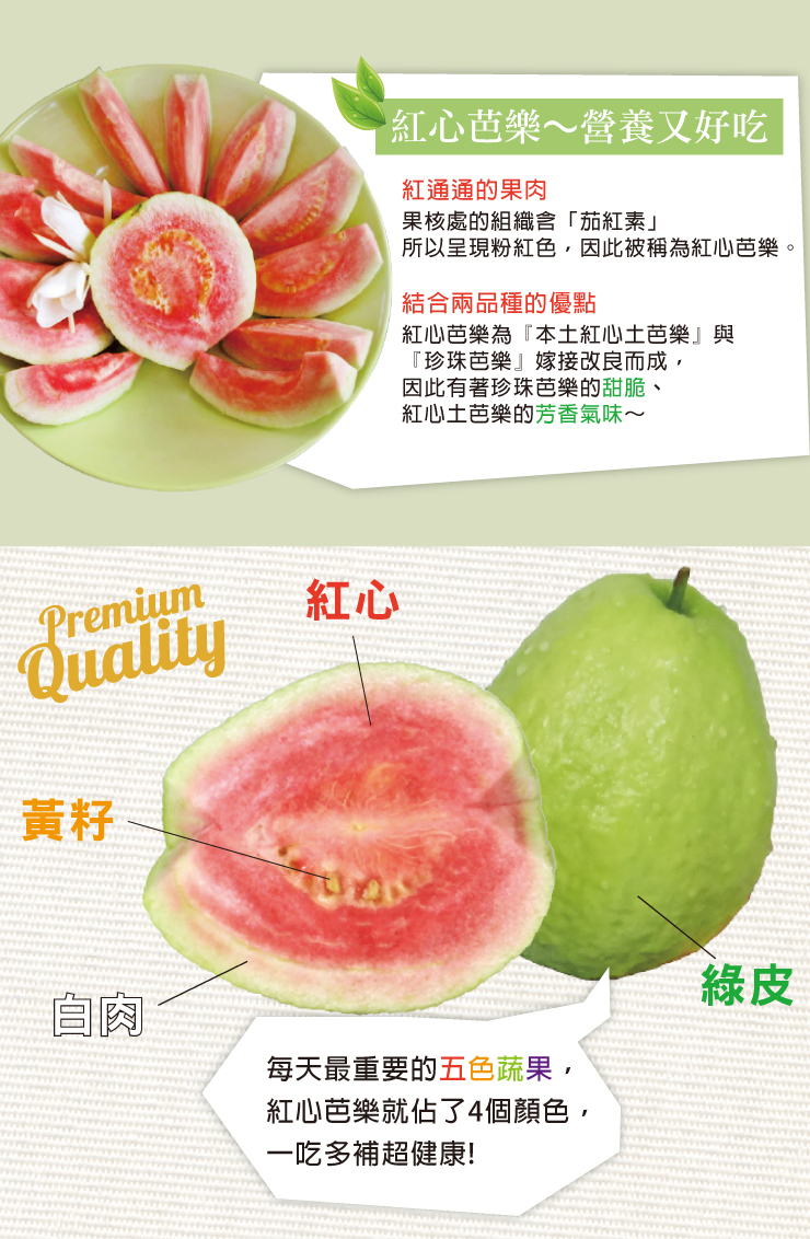 【家購網嚴選】紅心芭樂 5斤裝