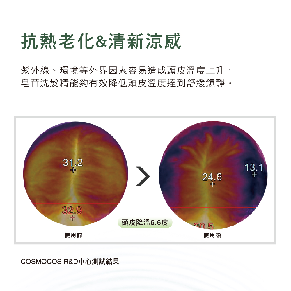 【韓國RGlll】控油去屑皂苷洗髮精2入組 Saponin系列 油性/中性/混和