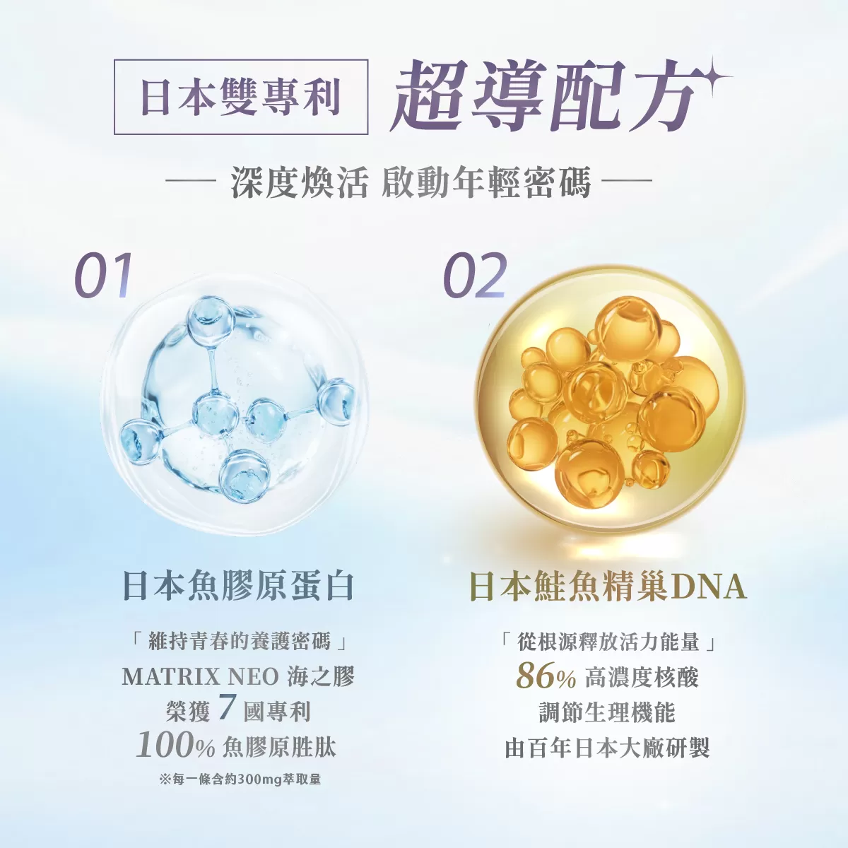 髮凍力 黑魔法機能果凍,頭髮變黑的食物,頭髮烏黑亮麗的方法,黑豆補給,咖啡莓果,維生素B群