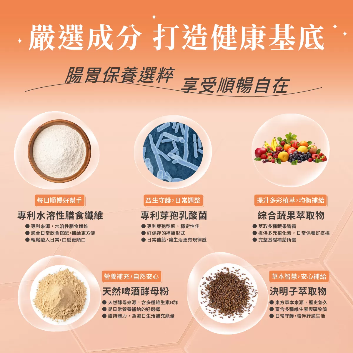 暢酵力 酵素果凍,決明子萃取,水溶性膳食纖維,仙人掌萃取,藤黃果萃取,芽孢乳酸菌