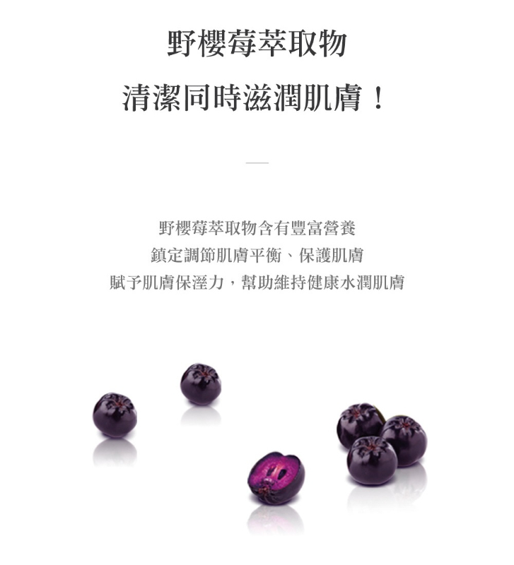 韓國ENBLANC 銀離子抗菌 輕厚野櫻莓 有蓋隨身包純水濕紙巾,U53530005,韓國ENBLANC銀離子抗菌輕厚野櫻莓有蓋隨身包純水濕紙巾,11級過濾純淨水,3D立體壓紋設計,銀離子抗菌包裝