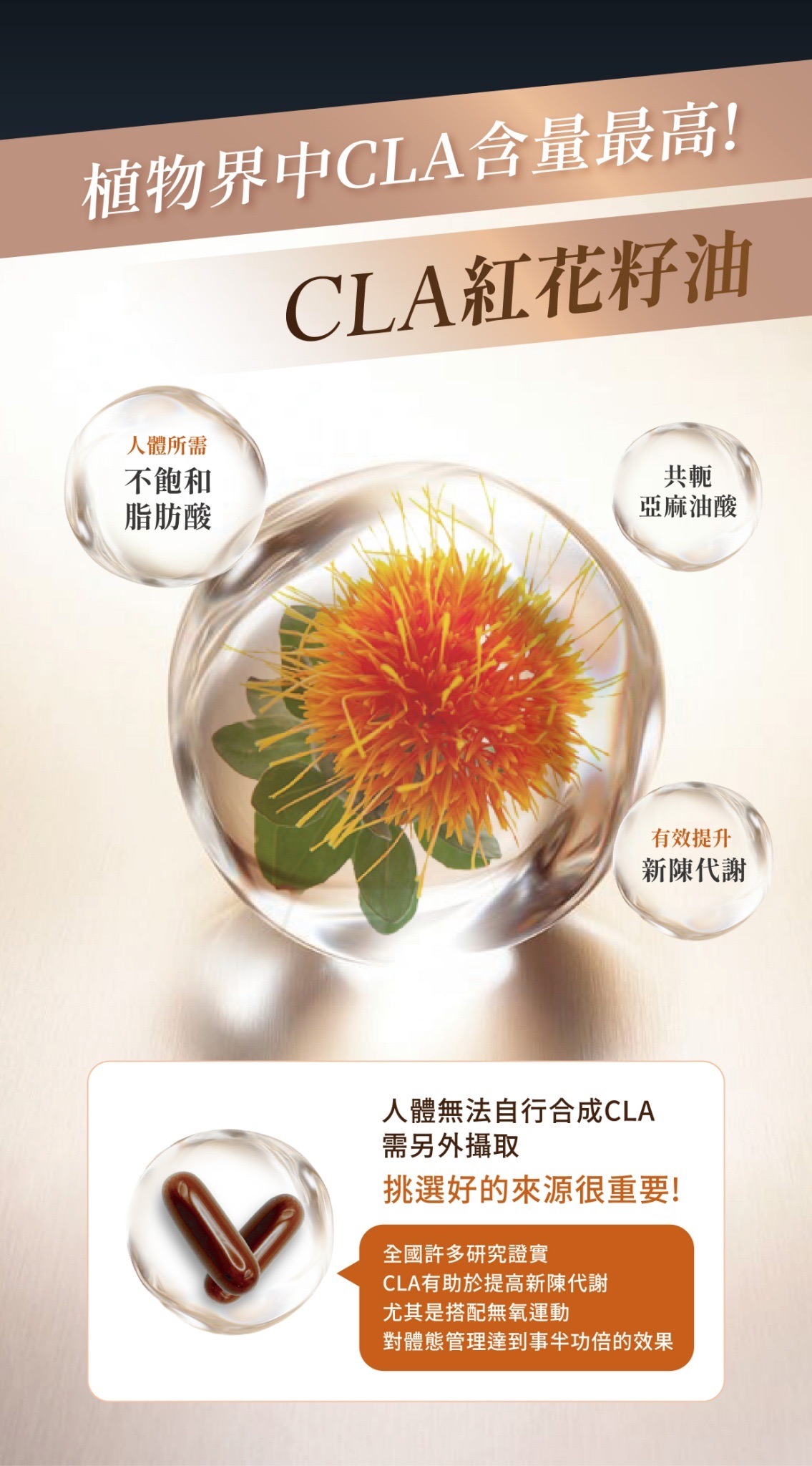 5/1~5/11 抑覓/暢纖凍 紅利點數大放送